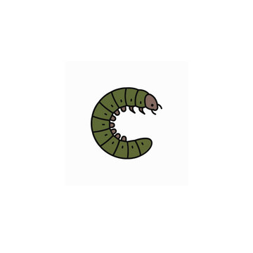 Cutworm insect pest damaging seedlings and vegetable crops, nocturnal caterpillar larvae that cut young plants at soil level, common agricultural pest causing crop loss