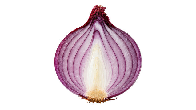 Half red onion with visible layers and root, isolated on transparent background
