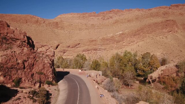 Elevated aerial shot showcasing an empty paved road curving around rocky cliffs and a bridge surrounded by autumn trees in Todra Valley near Tinghir, Morocco.