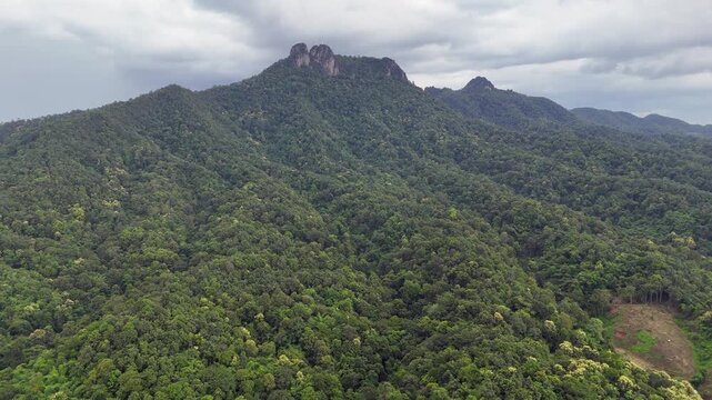 Aerial rises from jungle at base of Wat Chaloem mountain in Thailand