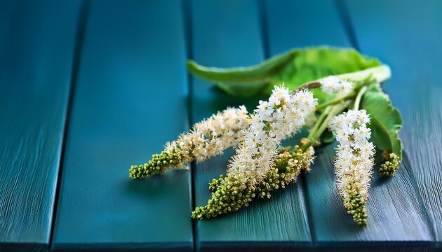 Curly Dock Rumex Crispus Flowers Closeup Selective Focus