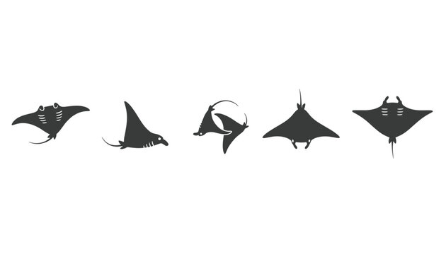 Silhouette collection of wild manta rays presenting different swimming angles and realistic underwater poses.