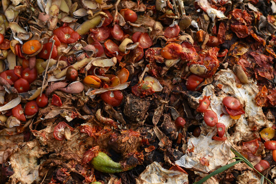 Organic food waste on heap close-up. Compost pile with layers of food scarps and organic materials. Compost pit for organic scarps.
