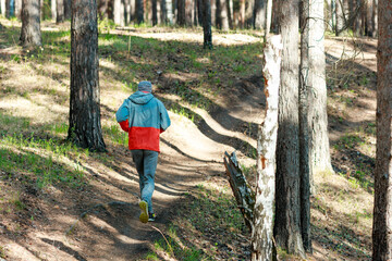 Fototapeta premium Summer Evening Trail Run Through Dappled Forest Light