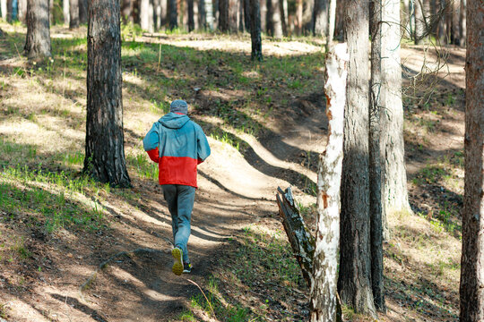 Summer Evening Trail Run Through Dappled Forest Light