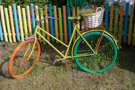 Colorful vintage bicycle with a flower basket as garden decor