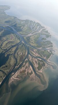 Vertical Aerial View of River Delta with Branching Channels and Organic Fan Pattern