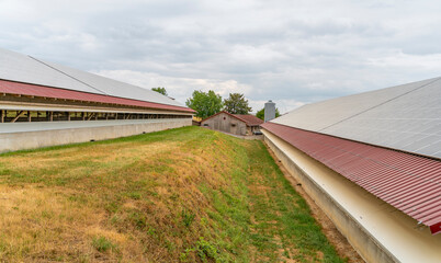 Poultry farming in Hohenlohe © PRILL Mediendesign
