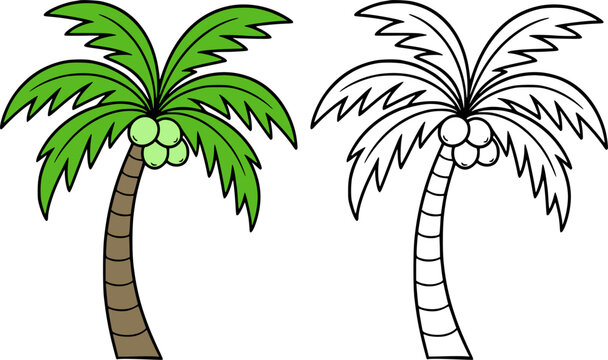 Coconut tree illustration icon in line art style and colored, coloring page for kids