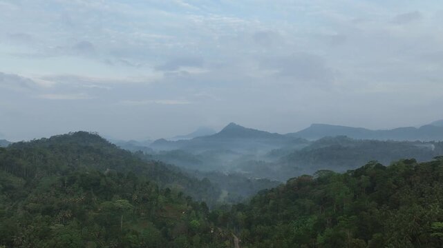 Aerial view of a mountain forest in the Sri Lankan rainforest surrounded by mountains, rice fields and tropical vegetation. Scenic landscape of nature..