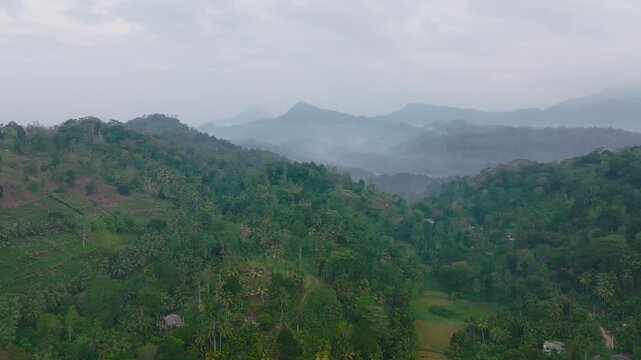 Aerial view of a mountain forest in the Sri Lankan rainforest surrounded by mountains, rice fields and tropical vegetation. Scenic landscape of nature..