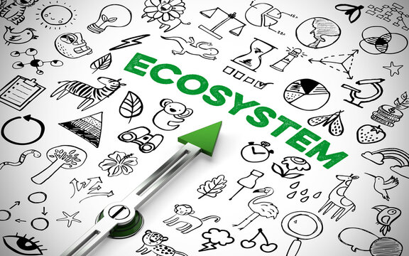 Gr&uuml;ner Kompass zeigt auf Schriftzug &bdquo;Ecosystem&ldquo; zwischen Icons als Konzept f&uuml;r &Ouml;kosysteme