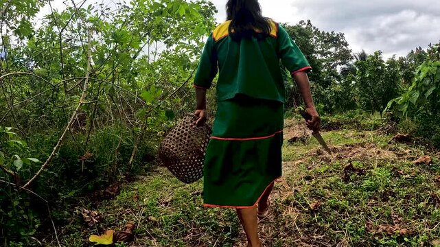 Indigenous Person Carrying Woven Basket in Ecuador Amazon Forest Clearing, Traditional Harvesting, Rural Community Life and Tropical Jungle Culture