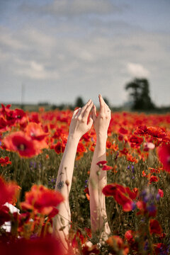hand picking flowers