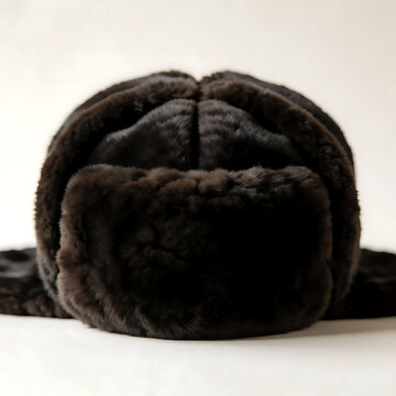 Hat, winter, fur, Russian, fur, brown, warm