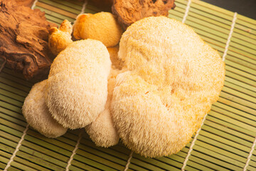 Fresh Lion's Mane Mushroom.  Hericium erinaceus © joanna wnuk