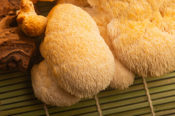 Fresh Lion's Mane Mushroom.  Hericium erinaceus © joanna wnuk