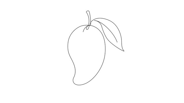 Mango Continuous Line Drawing Animation on White Background