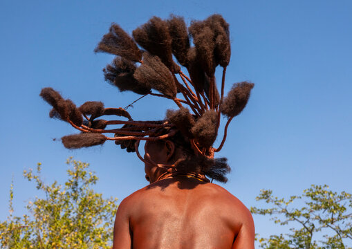 Rear view of a man with an elaborate fan-shaped hairstyle made of multiple twisted strands, Cunene Province, Oncocua, Angola