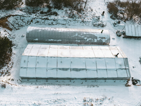 Winter Farming Scene With Snow Covered Greenhouse Roofs