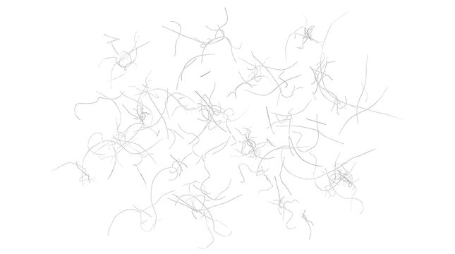 Scattered dark hair strands isolated on a transparent background for beauty and salon design