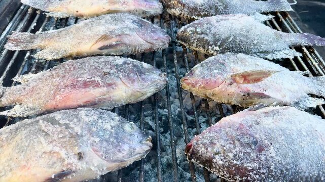 Fresh salt-crusted tilapia fish grilling over hot charcoal at an outdoor street food market. Traditional Asian barbecue seafood cooked whole on metal rack over burning embers.