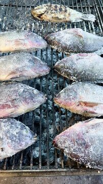 Fresh salt-crusted tilapia fish grilling over hot charcoal at an outdoor street food market. Traditional Asian barbecue seafood cooked whole on metal rack over burning embers.