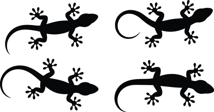 Lizard silhouettes in black vector style representing reptiles, wildlife, animal shapes, nature, zoology and decorative illustration concepts
