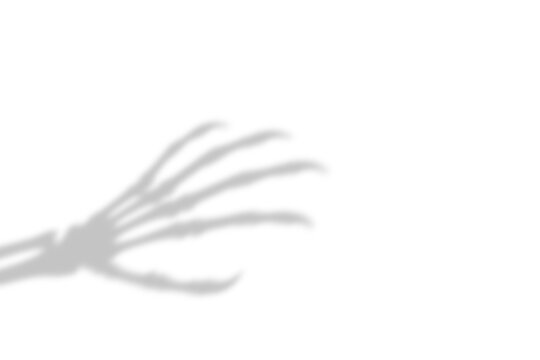 A dark spooky shadow of a skeleton hand reaching out cast on a white surface presented as an isolated object on isolated on transparent background