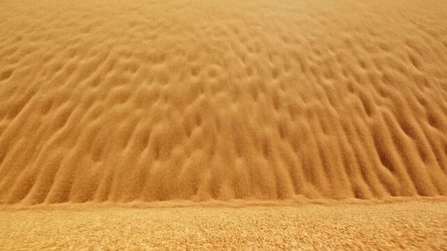 Golden Sand Surface Settling Into Smooth Ripples Across a CloseUp Dune Landscape