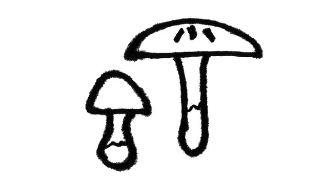 Hand-Drawn Two Mushrooms Outline Doodle Brush Set for Photoshop & Illustrator
