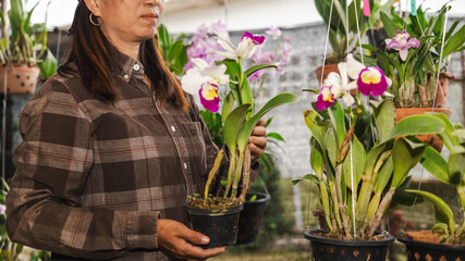 A woman stands in a greenhouse surrounded by vibrant orchids. She holds a potted orchid with care. Sunlight streams through the glass panels, illuminating the plants © Happy Photo
