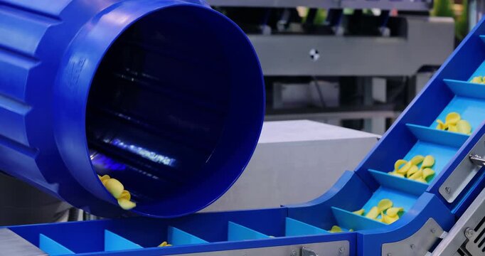 Rotating drum dispenses potato chips into blue bucket conveyor at measured intervals. Automated system portions snack product for controlled factory transport