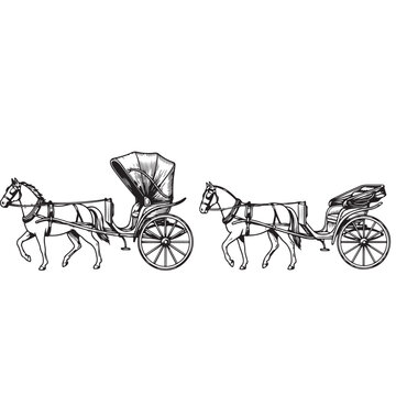 Vintage horse drawn carriage engraving illustration set featuring detailed black outline sketches of traditional stallions pulling historic buggies with open and closed hoods.