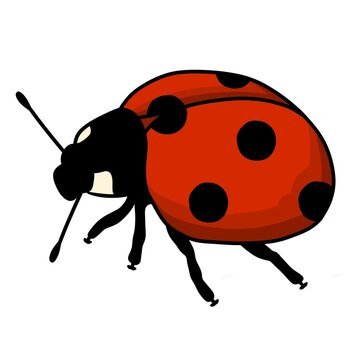 Cute red ladybug vector illustration isolated on white background. Hand drawn cartoon ladybird insect with black dots for kids design, sticker, pattern, and icon.