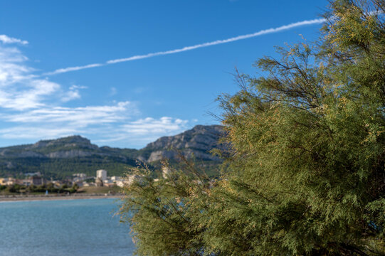 Bord de mer &agrave; la fin de l'&eacute;t&eacute; &agrave; Marseille