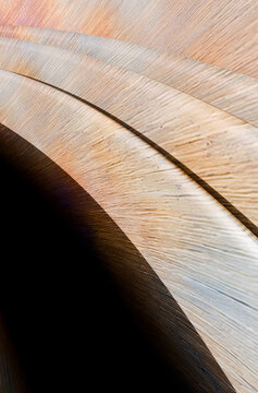 Curved wooden architectural detail with visible wood grain texture