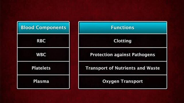 Blood components and their functions, including plasma, red cells, white cells and platelets.