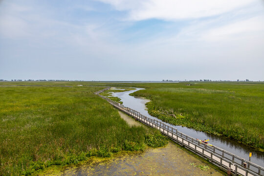 A vast expanse of lush wetlands with a winding boardwalk at Point Pelee National Park, Ontario, offering serene natural beauty.