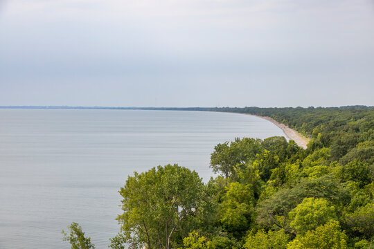 View from the lookout tower at Point Pelee National Park, Ontario, showcasing the expansive shoreline and lush green forest.