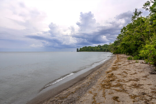 A tranquil beach scene at Fish Point Provincial Nature Preserve, Pelee Island, Ontario, featuring a dramatic sky and lush greenery.