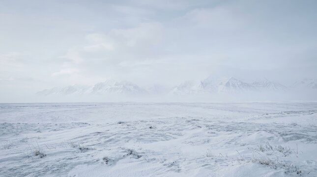 A vast, snow-covered landscape stretches out before the viewer. Distant, jagged mountains are partially obscured by a hazy, overcast sky.