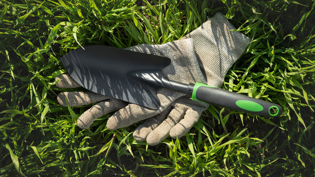 Garden trowel hand shovel and working gloves mockup on green grass background