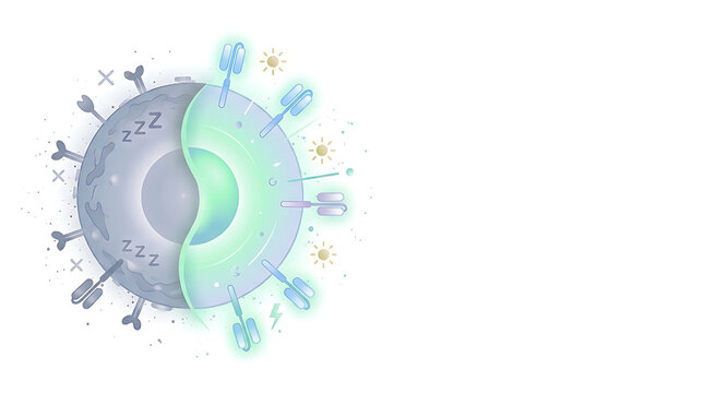 CAR-T Cell Exhaustion and Rejuvenation Mechanism, Flat Vector Illustration for Academic Slide Presentation Cover Template with Copy Space for Text