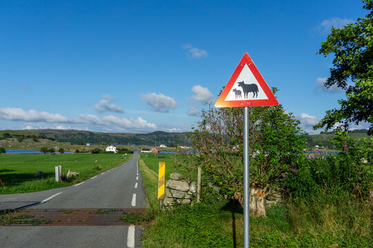 Sheep crossing warning sign on Moster&oslash;y road