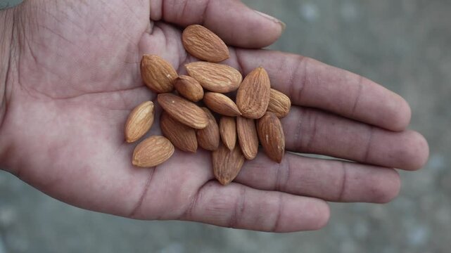 Hand holding a handful of raw almonds as a nutritious dry fruit snack