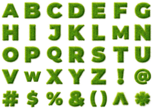 Alphabet Letters and Symbols with Realistic Green Grass Texture Isolated on Transparent Background