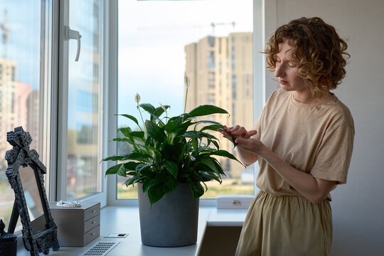 Woman holding a potted peace lily by the windowsill.