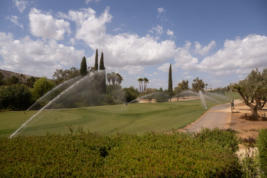 golf, golf cours, to play golf, landscape, sky, trees, palm trees