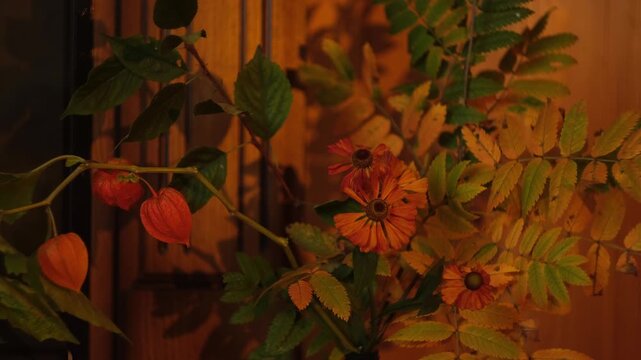 Autumn bouquet of flowers illuminates sunset light